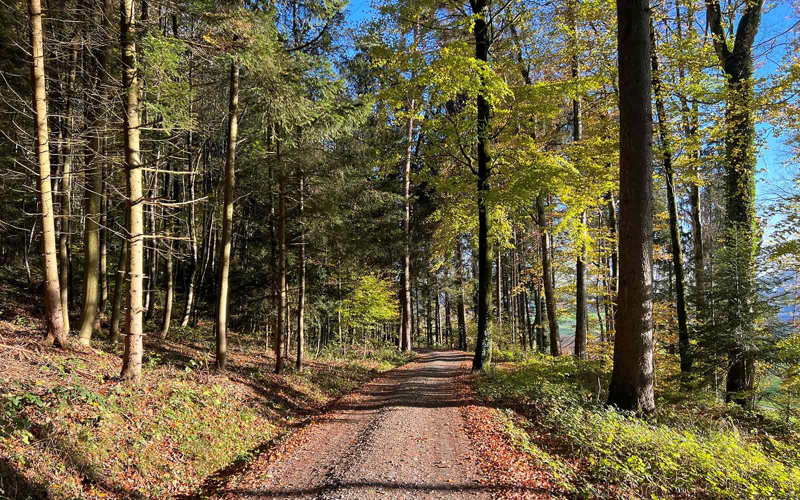 Gemütliches Wandern